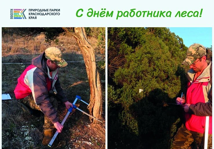 🌳 С праздником вас, хранители лесов!