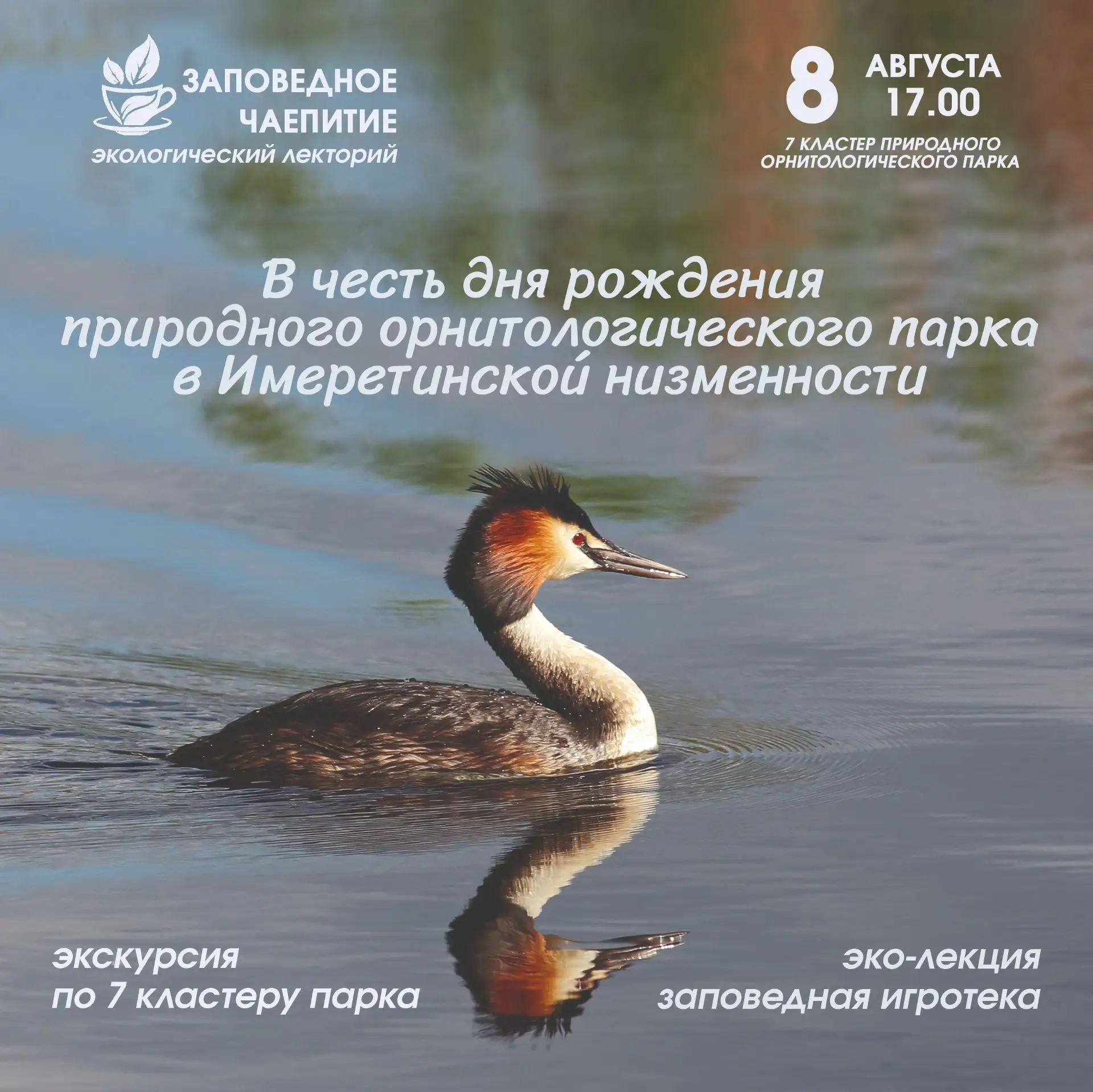 Новая встреча экологического лектория «Заповедное чаепитие»