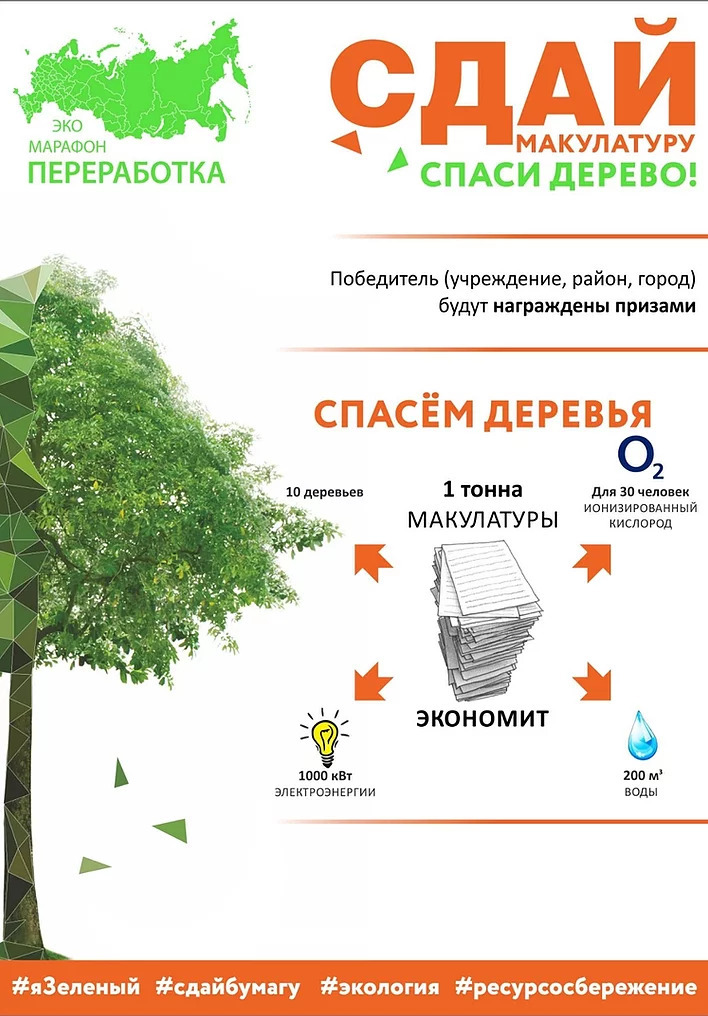 🌳 Сдай макулатуру – спаси дерево!  