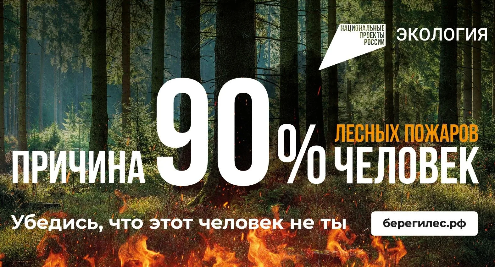Установлены ограничения на посещение лесов!