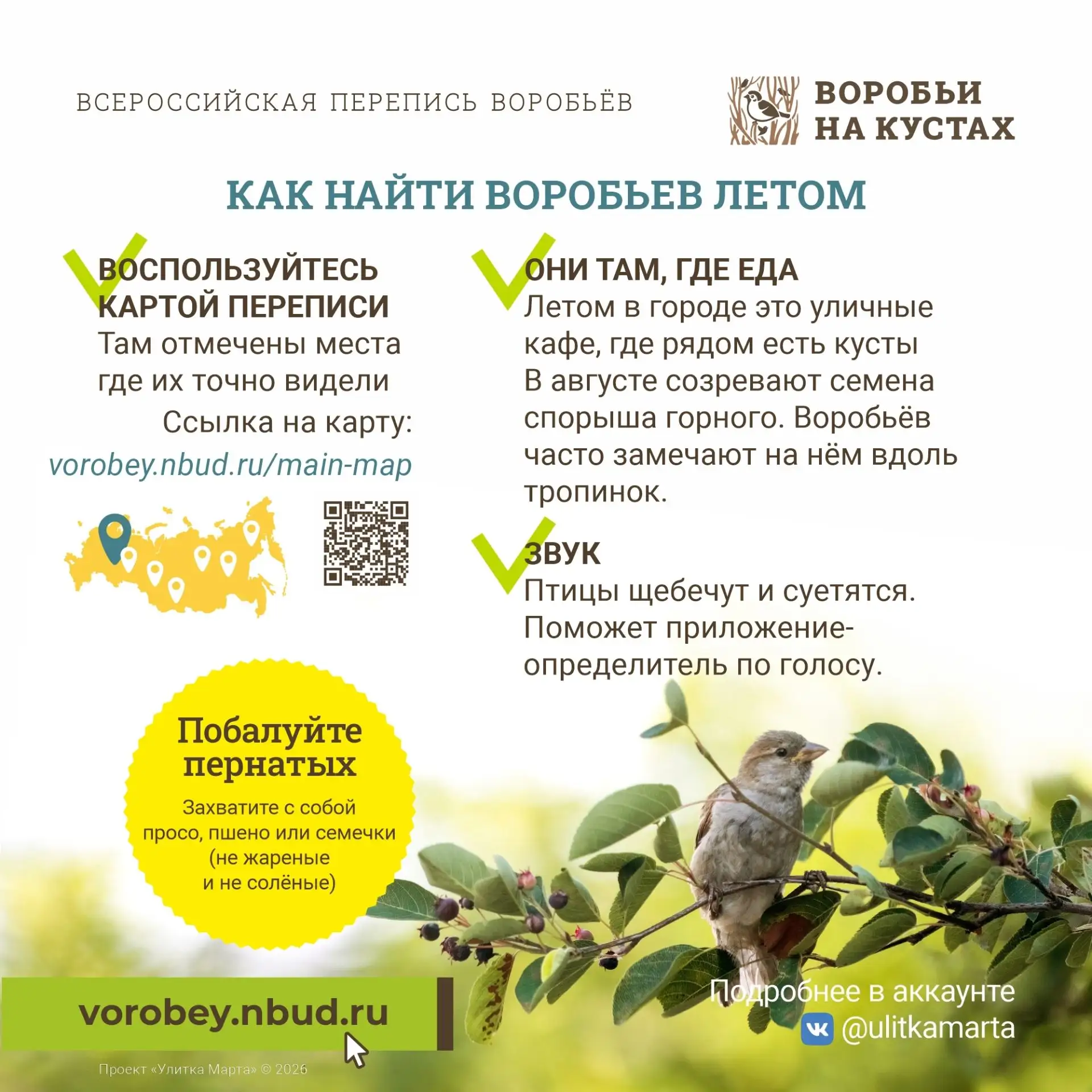 Присоединяйтесь к Всероссийской переписи воробьёв!