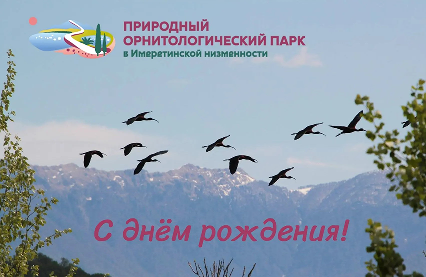 С днём рождения, орнитологический парк!