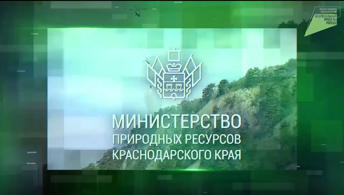 Соблюдаем правила в лесу!