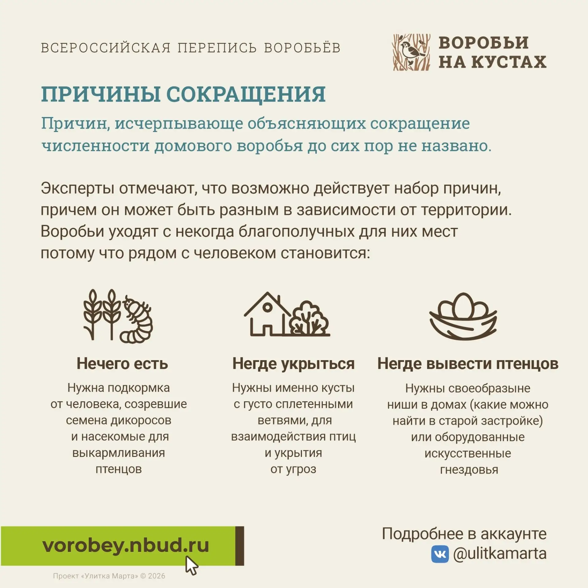 Присоединяйтесь к Всероссийской переписи воробьёв!