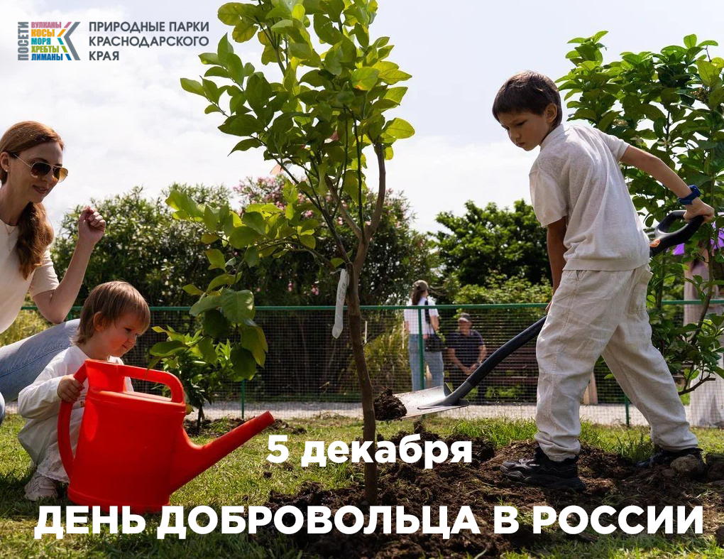 С днём добровольца!