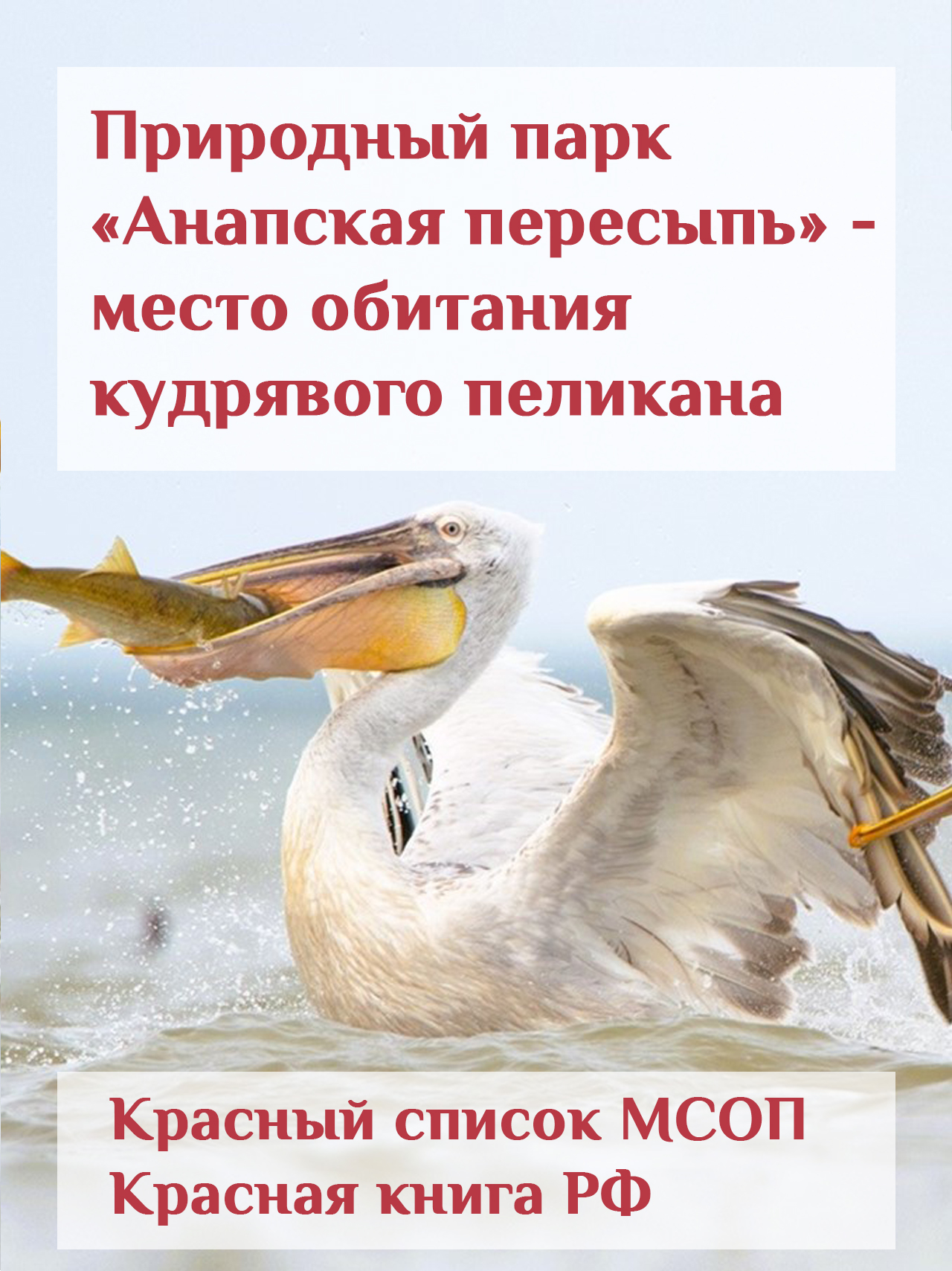 6 октября – Всемирный день охраны мест  обитаний