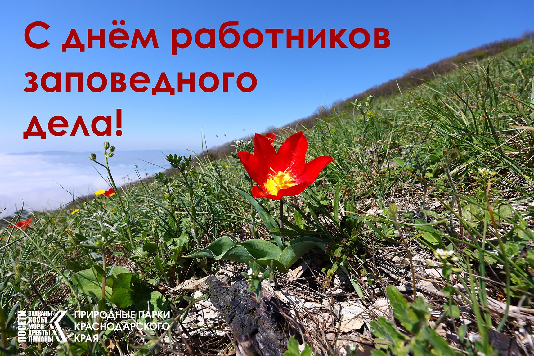 С праздником, друзья и коллеги!