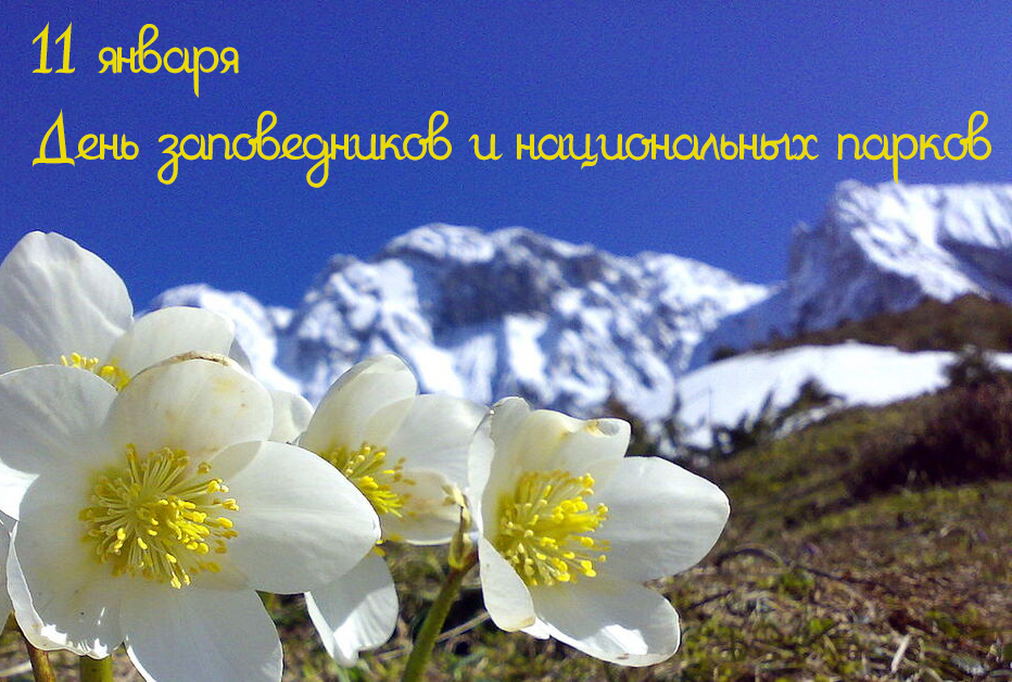 С Днём заповедников и национальных парков!