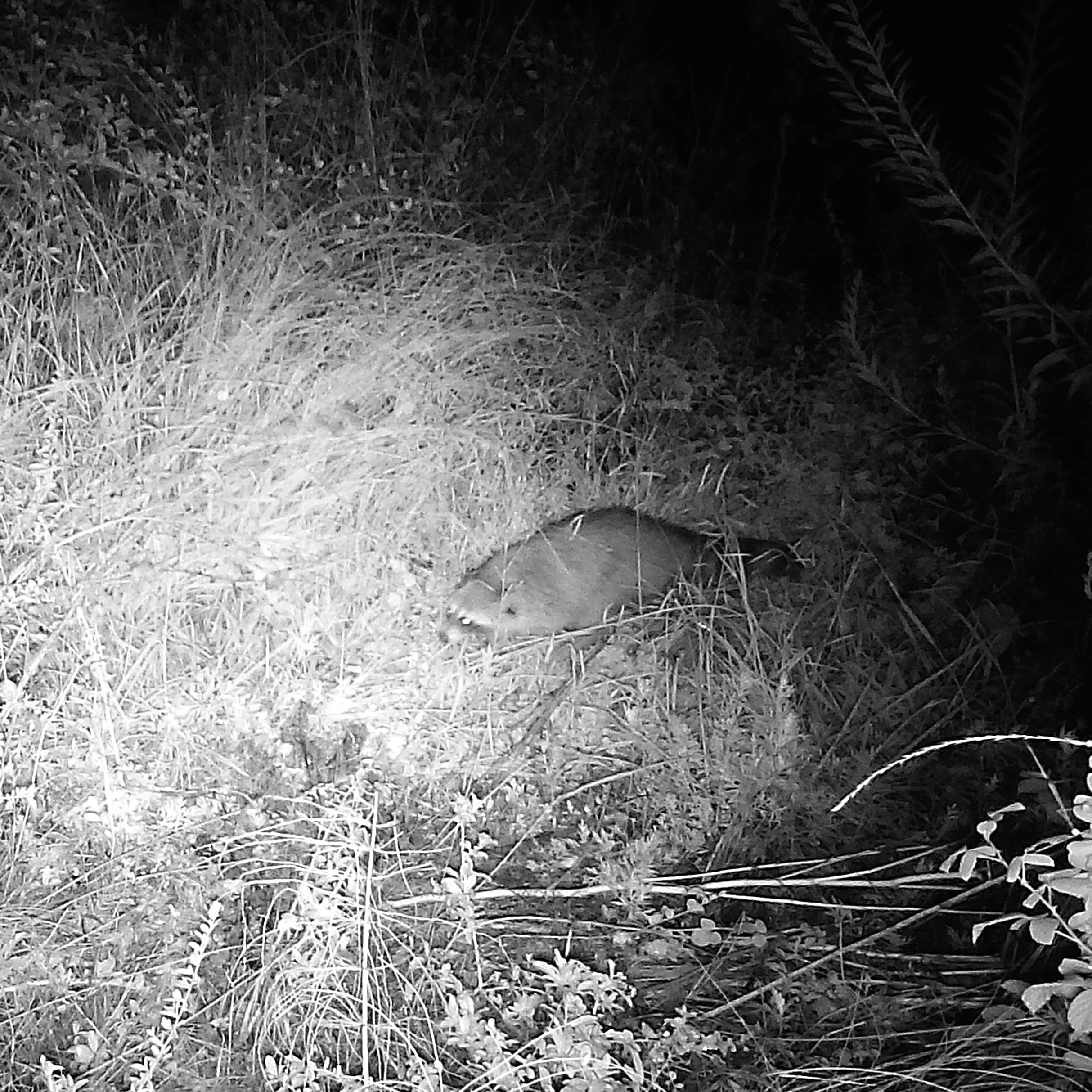 Улыбнитесь, вас снимает скрытая камера!