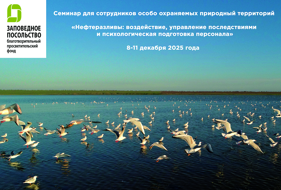 «Нефтеразливы: воздействие, управление последствиями и психологическая подготовка персонала»
