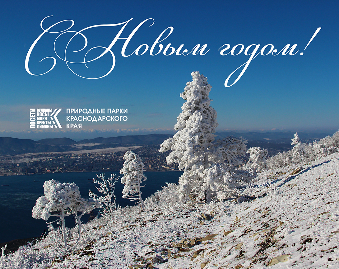 Подводим итоги и строим планы