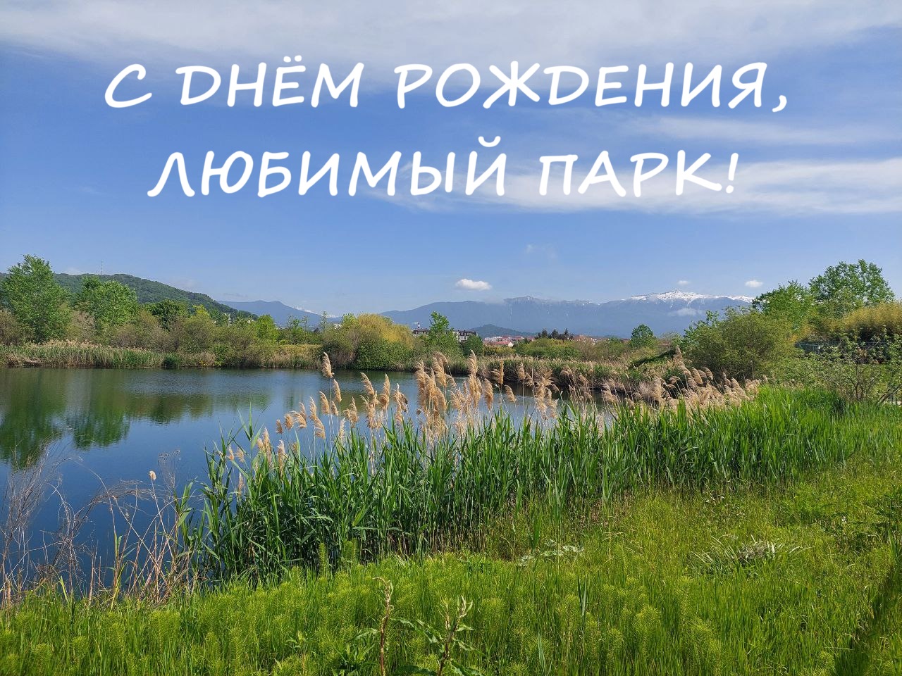 С днём рождения, орнитологический парк!