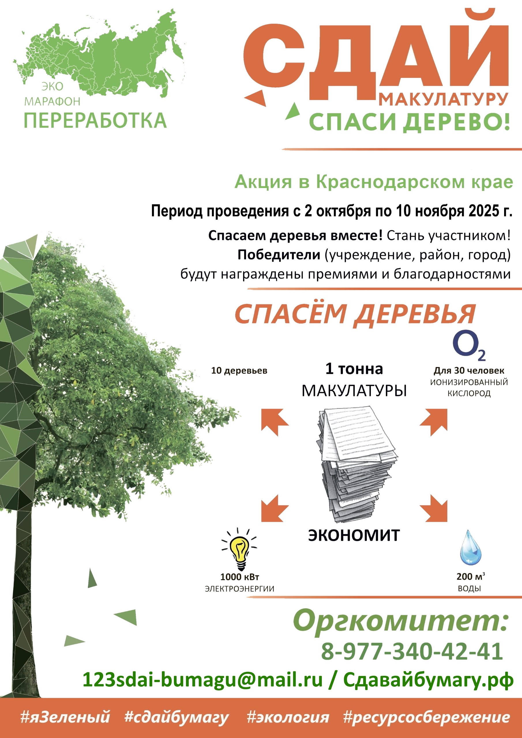 Сдай макулатуру – спаси дерево!