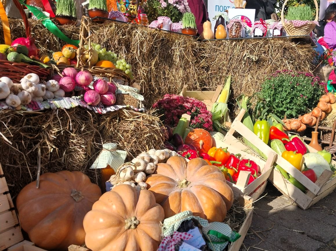 Фестиваль школьных и детских агропарков
