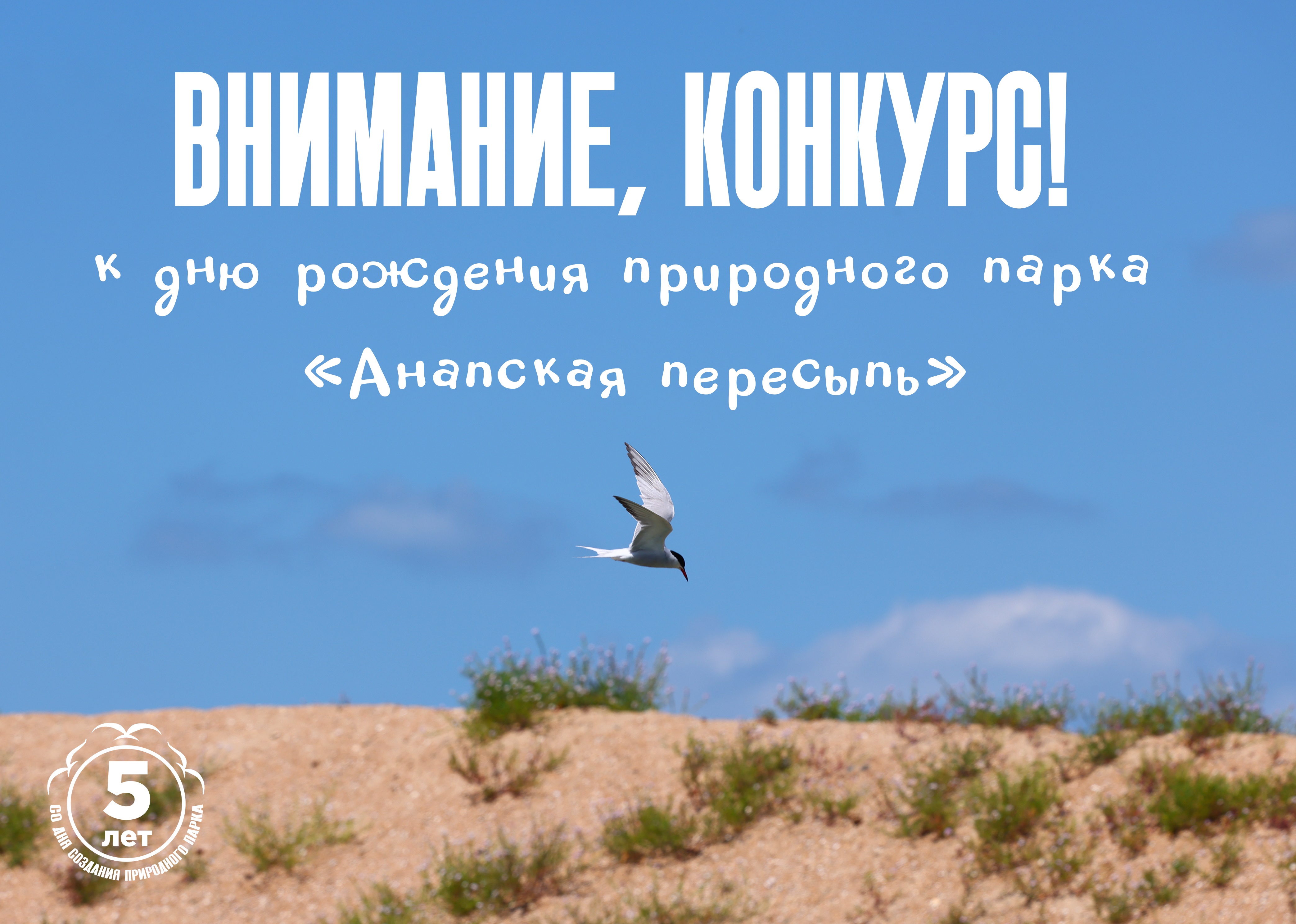 Природному парку «Анапская пересыпь» – 5 лет!