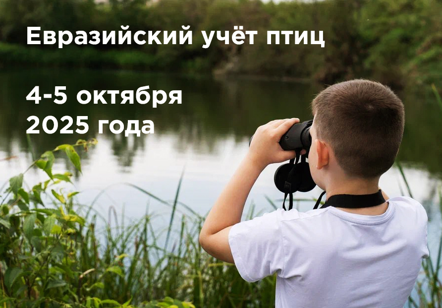 Почувствуй себя орнитологом!