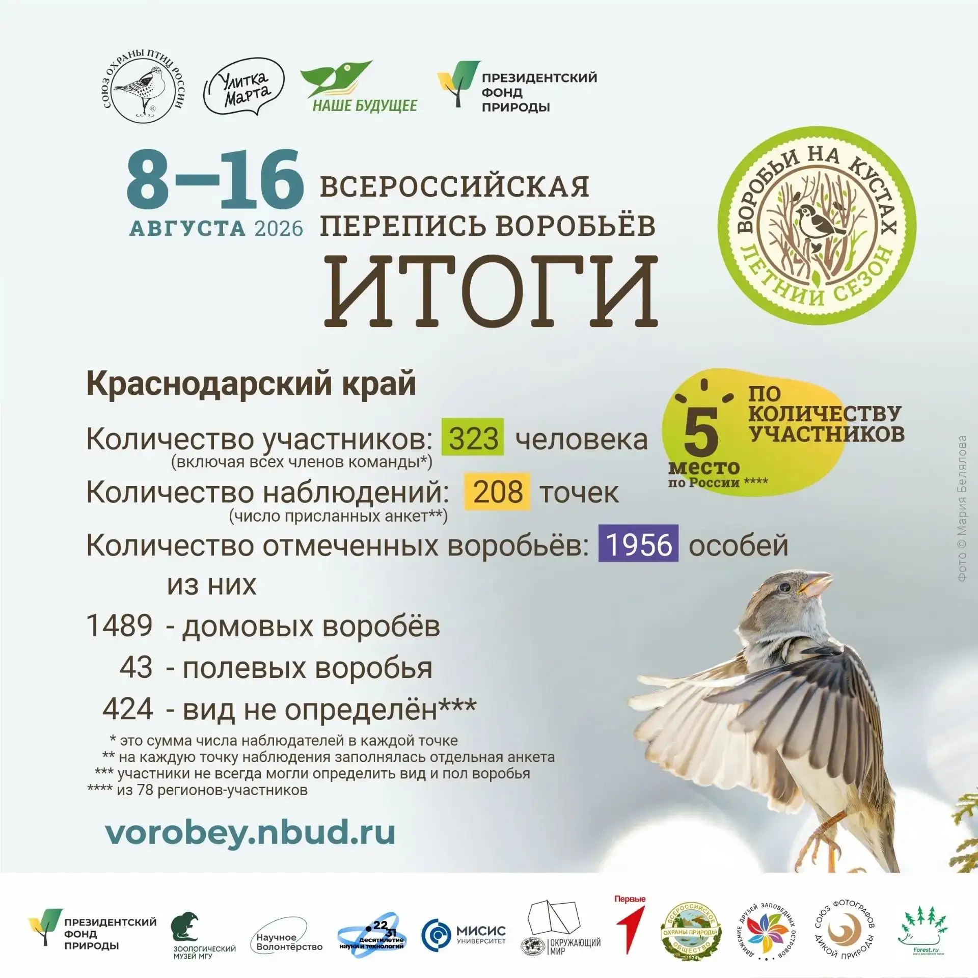В Краснодарском крае подсчитали воробьёв!